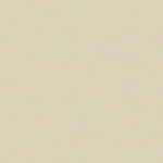 Winter White 702 | Brooke
