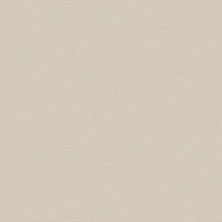 Whitecap Gray 725