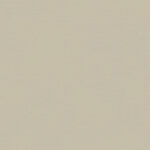 Sand Dollar 734 | Brooke