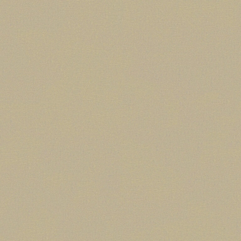 Sesame 746