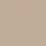 Cameo Rose 771 | Brooke