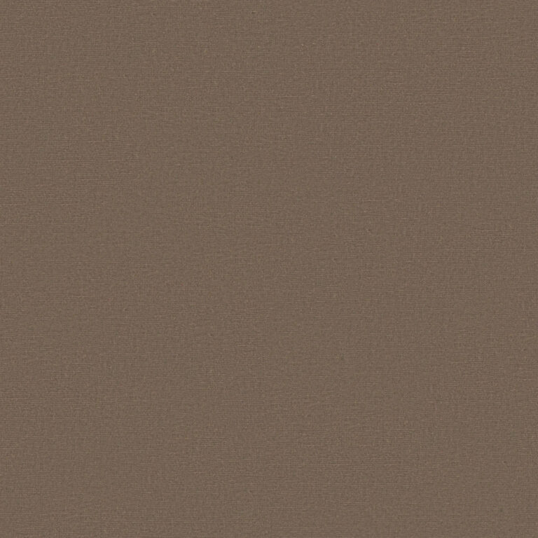 Dane 787