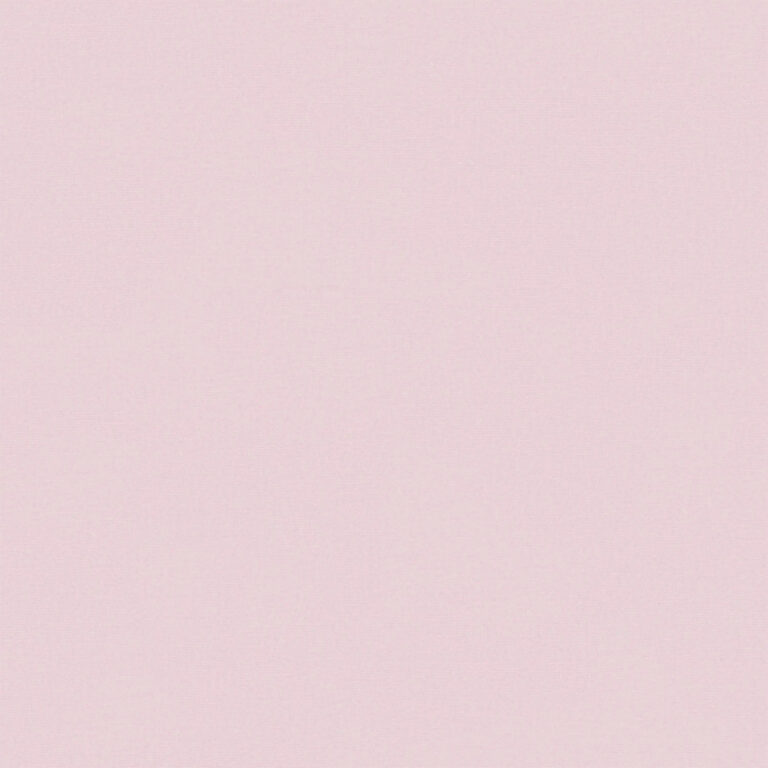 Cloud Pink 807