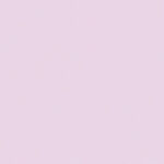 Pink Lady 903 | Brooke
