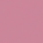 Rosette 928 | Brooke