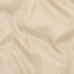Parchment 12 | Buco