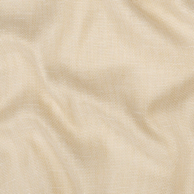 Parchment 12
