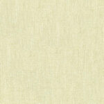 Champagne 11 | Chenille