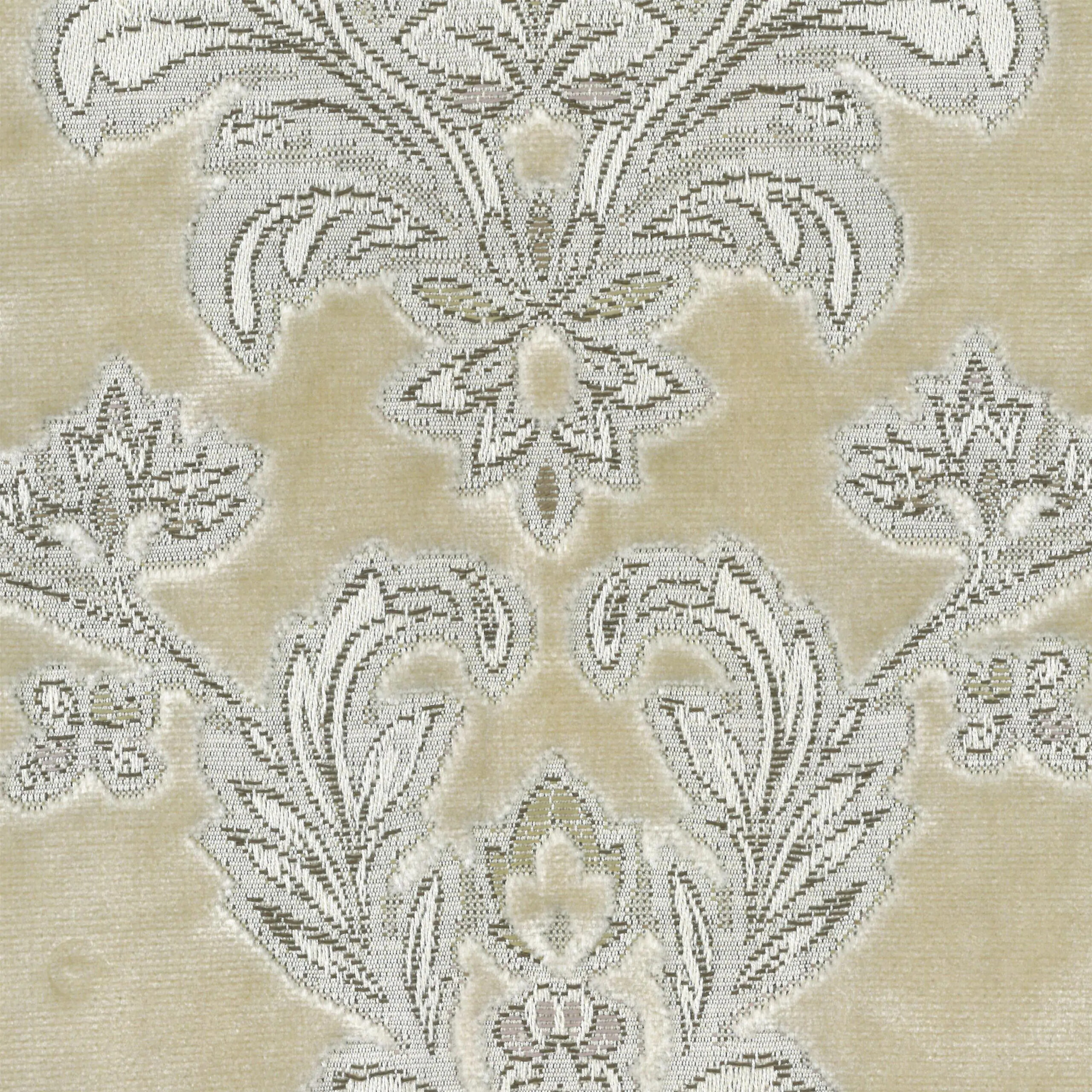 Champagne 50 | Cambria