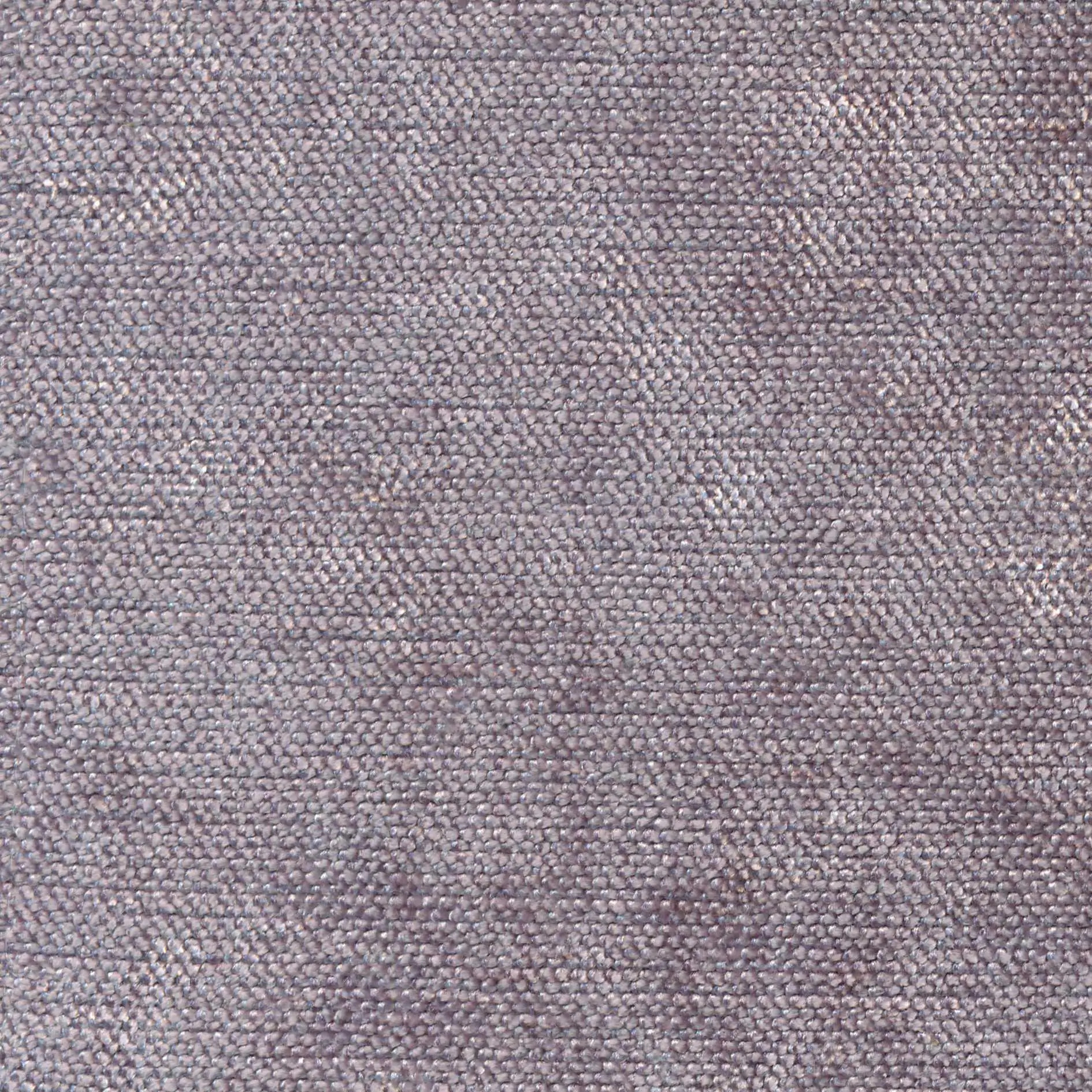 Iris 702 | Cameron FR