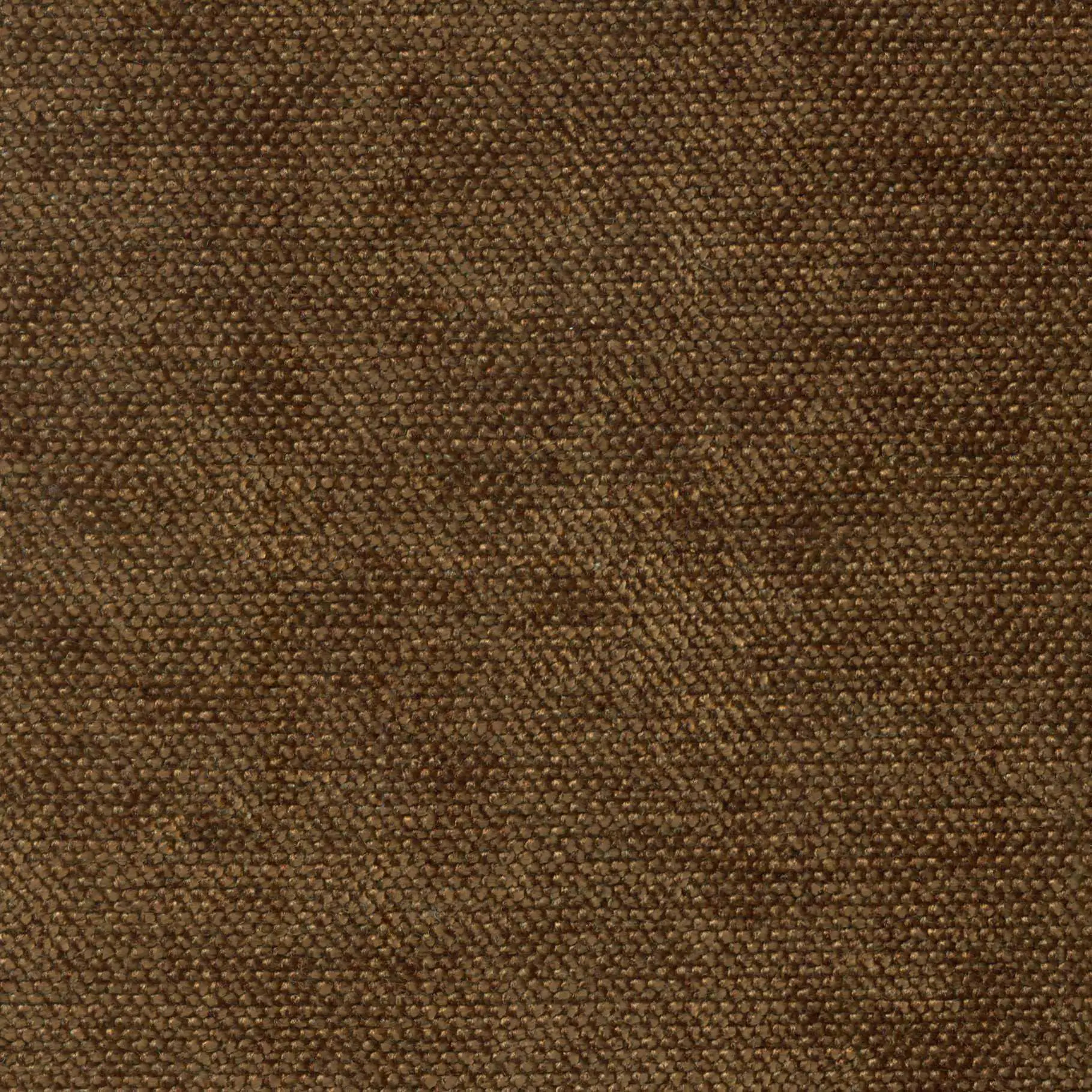 Bronze 100 | Cameron