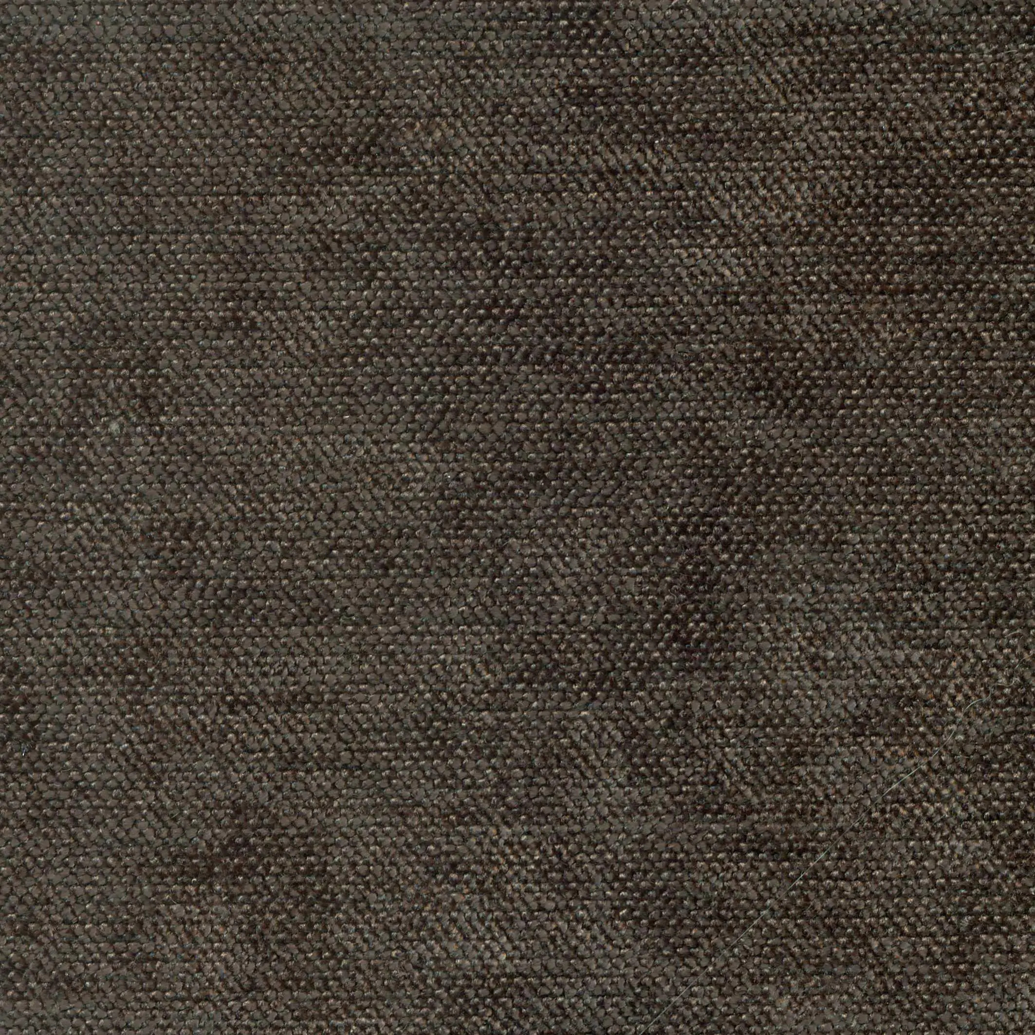 Gray 104 | Cameron
