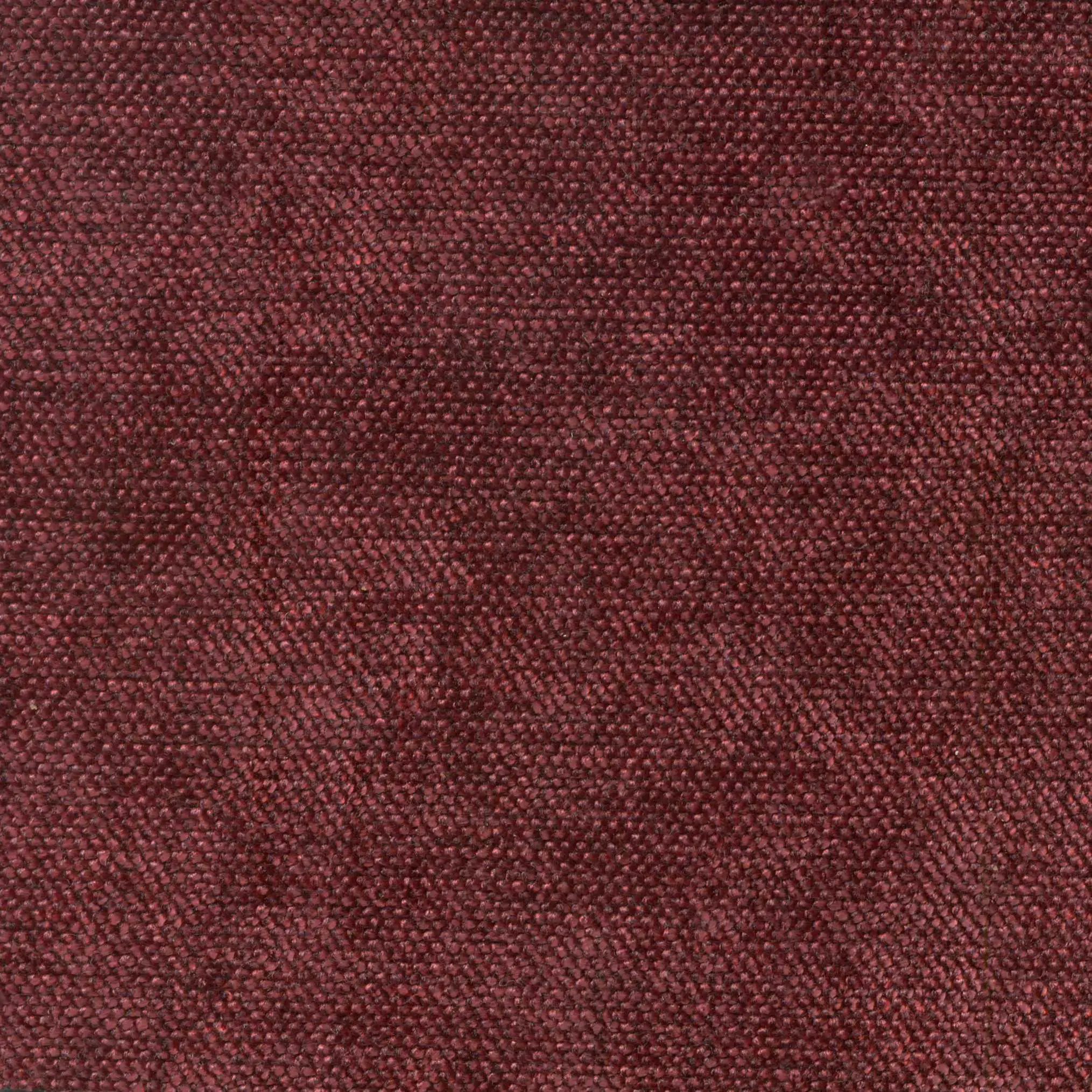 Vino 204 | Cameron