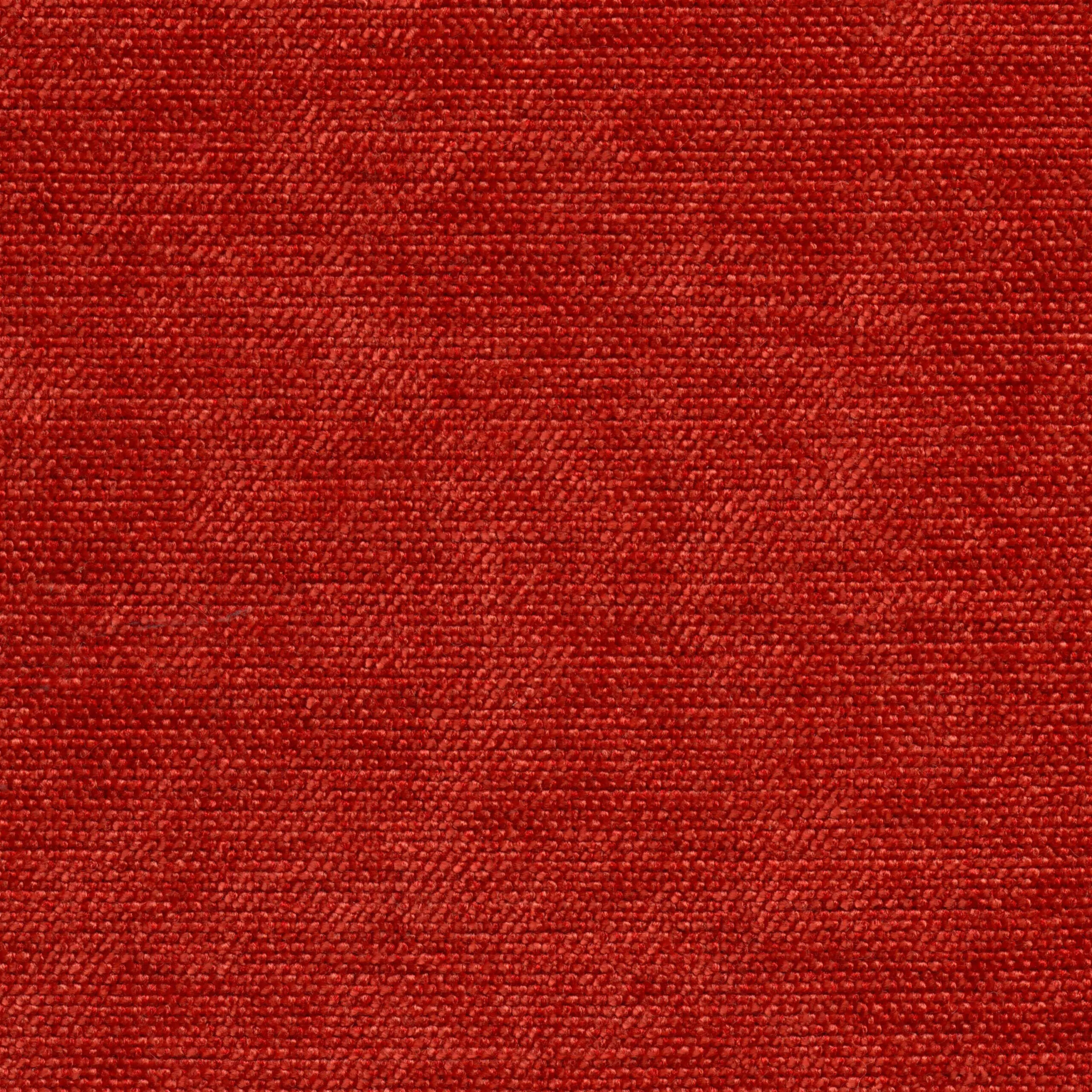 Tangerine 303 | Cameron