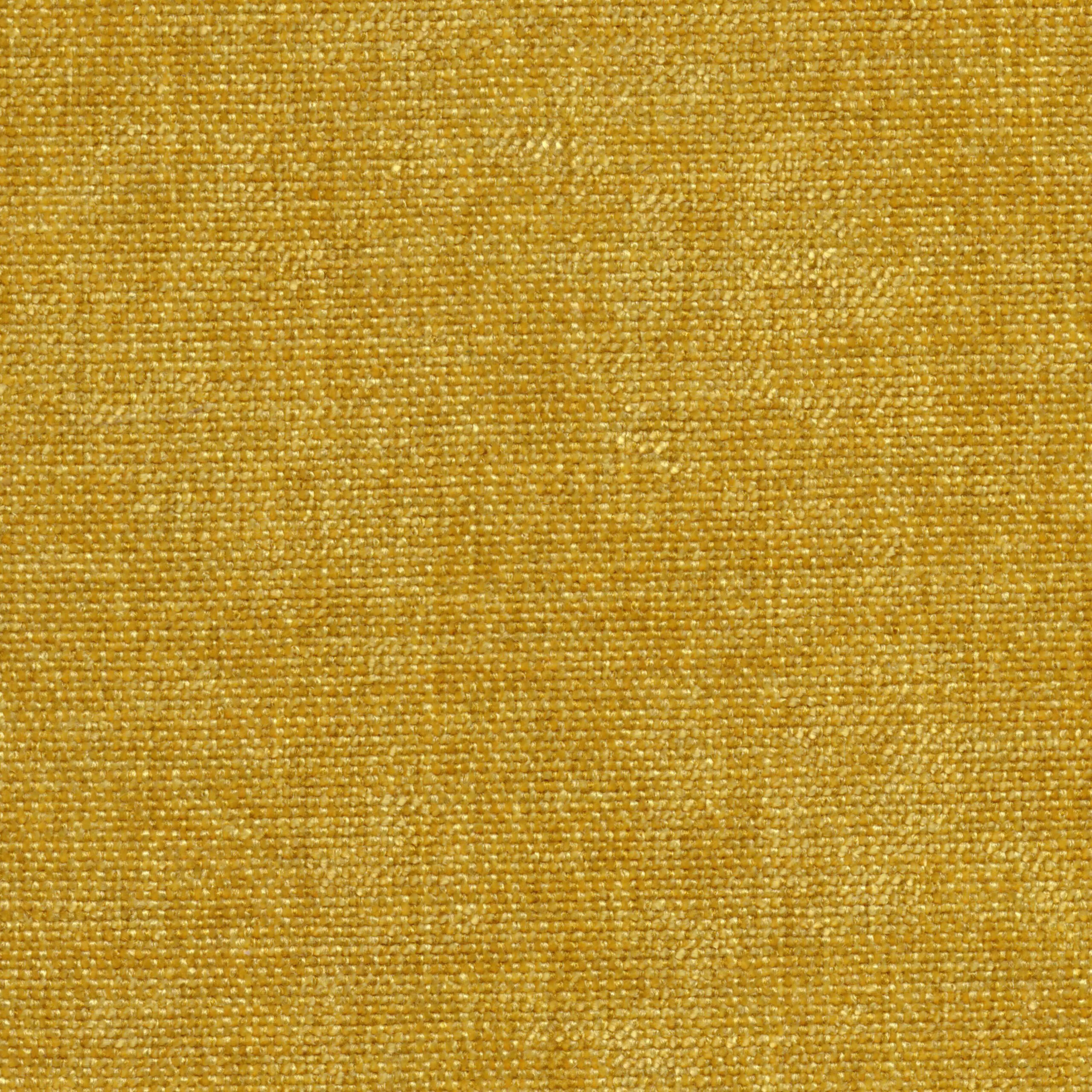 Acacia 401 | Cameron