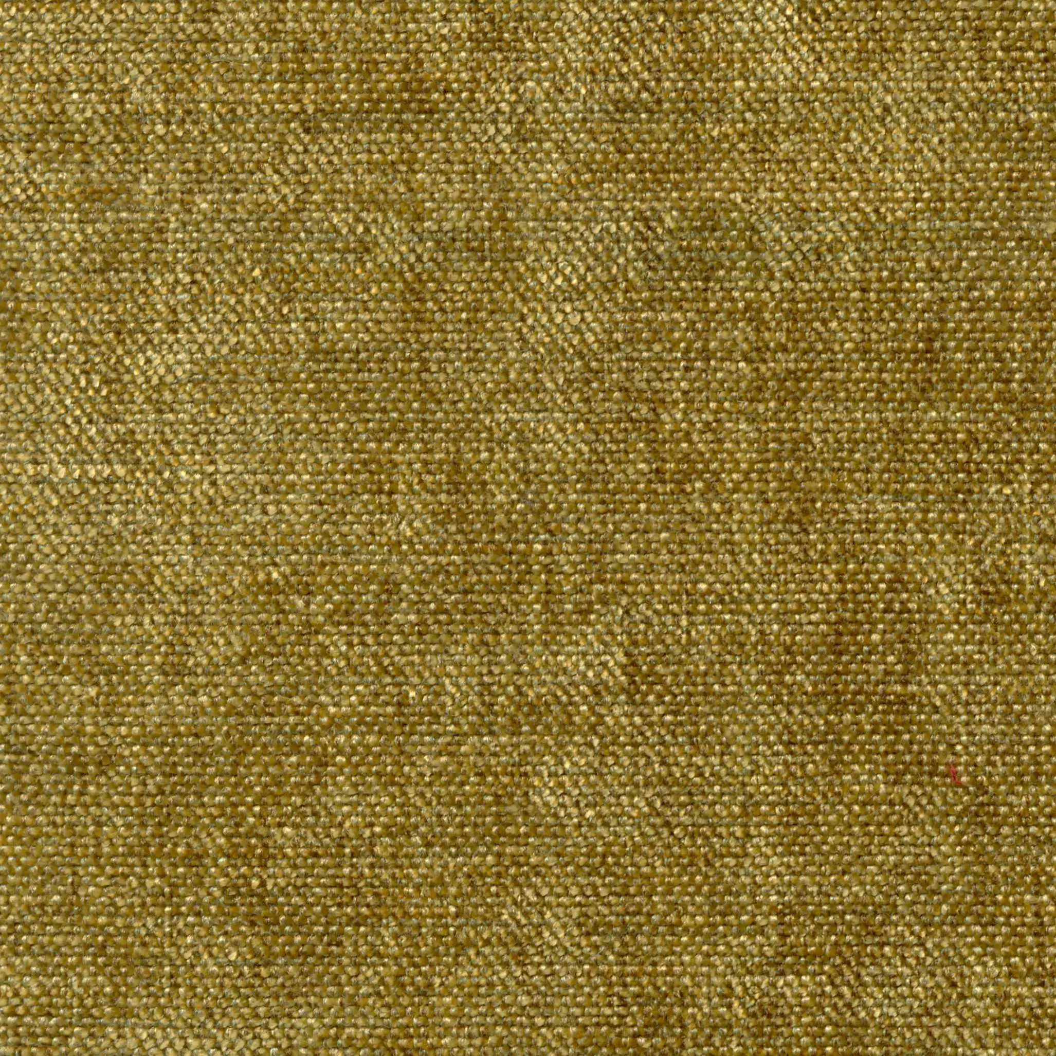 Seagrass 402 | Cameron