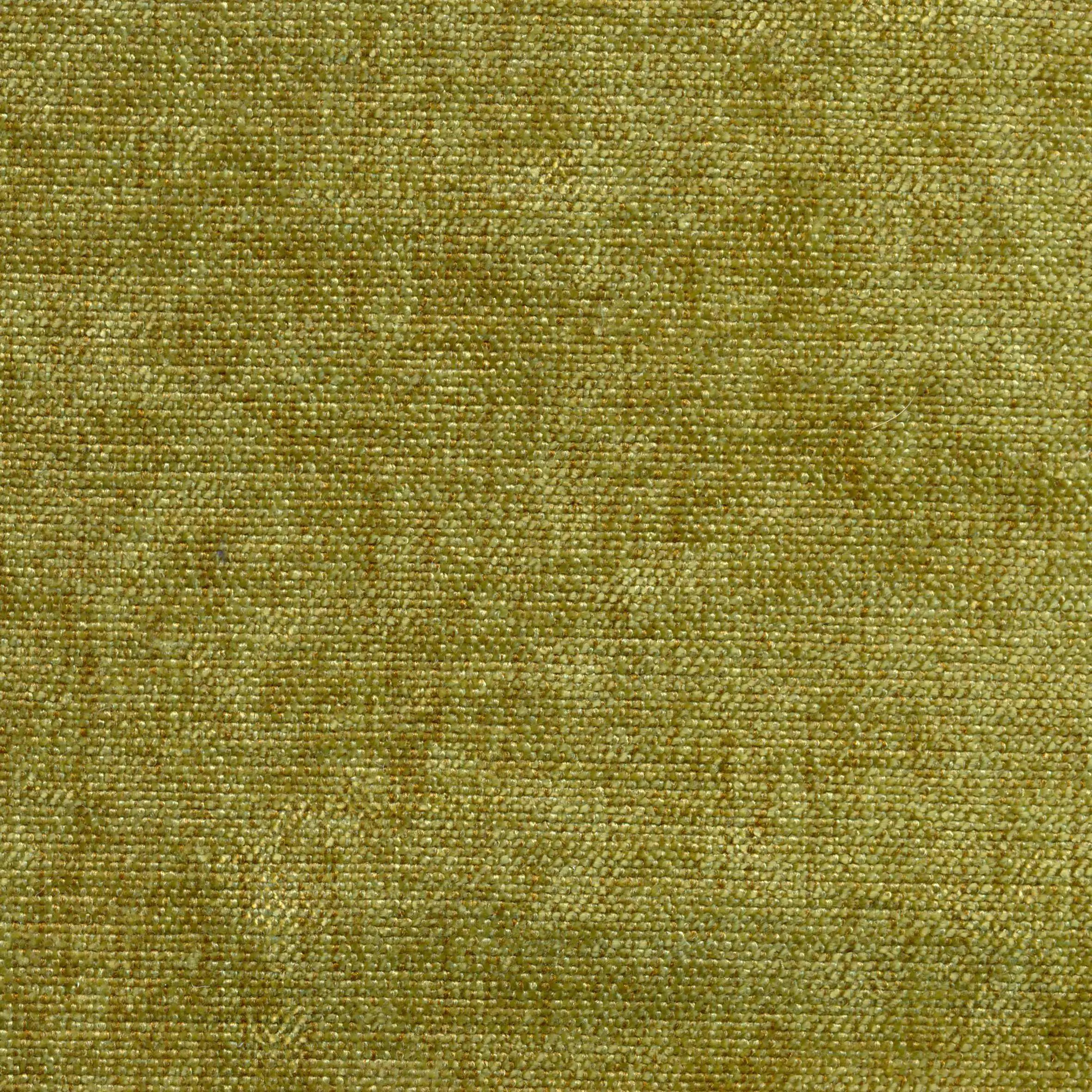 Bamboo 503 | Cameron