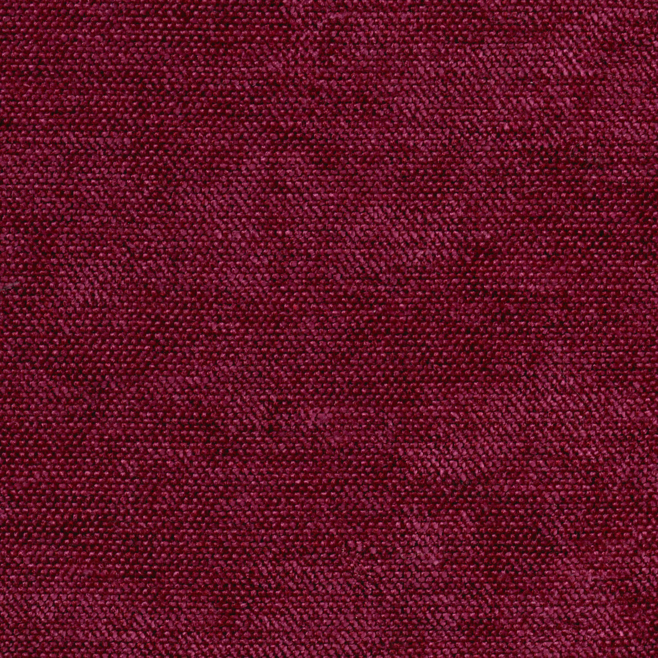 Sorbet 703 | Cameron