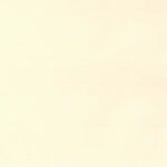 Ivory 01 | Camil