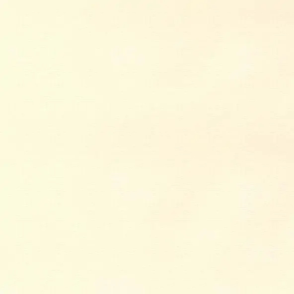 Ivory 01 | Camil