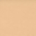 Gold 02 | Camil