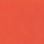 Tangerine 04 | Camil