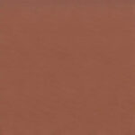 Cinnamon 05 | Camil