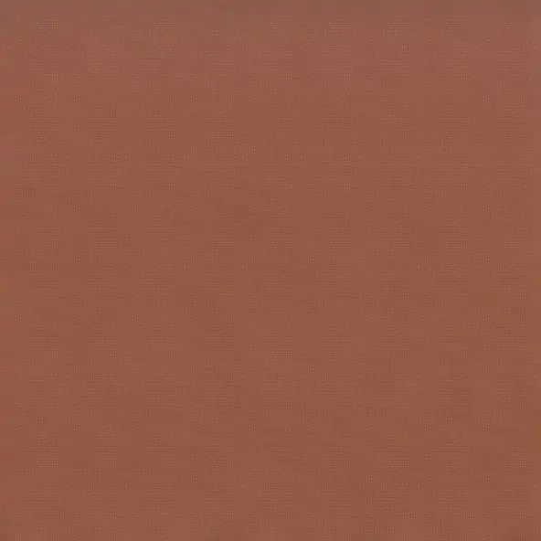Cinnamon 05 | Camil