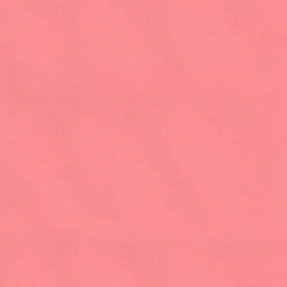 Blush 08 | Camil