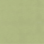 Pistachio 13 | Camil