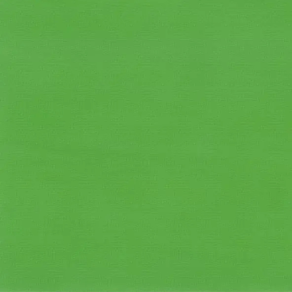Lime 36 | Camil