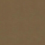 Chestnut 37 | Camil
