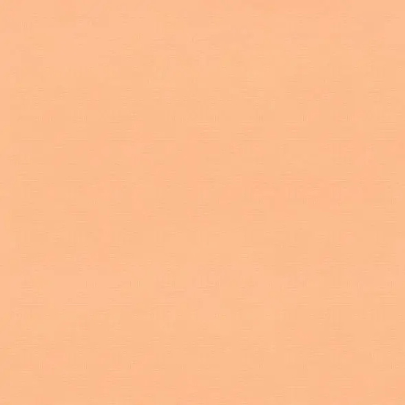 Peach 49 | Camil
