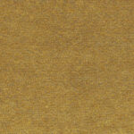 Marigold 401 | Campo