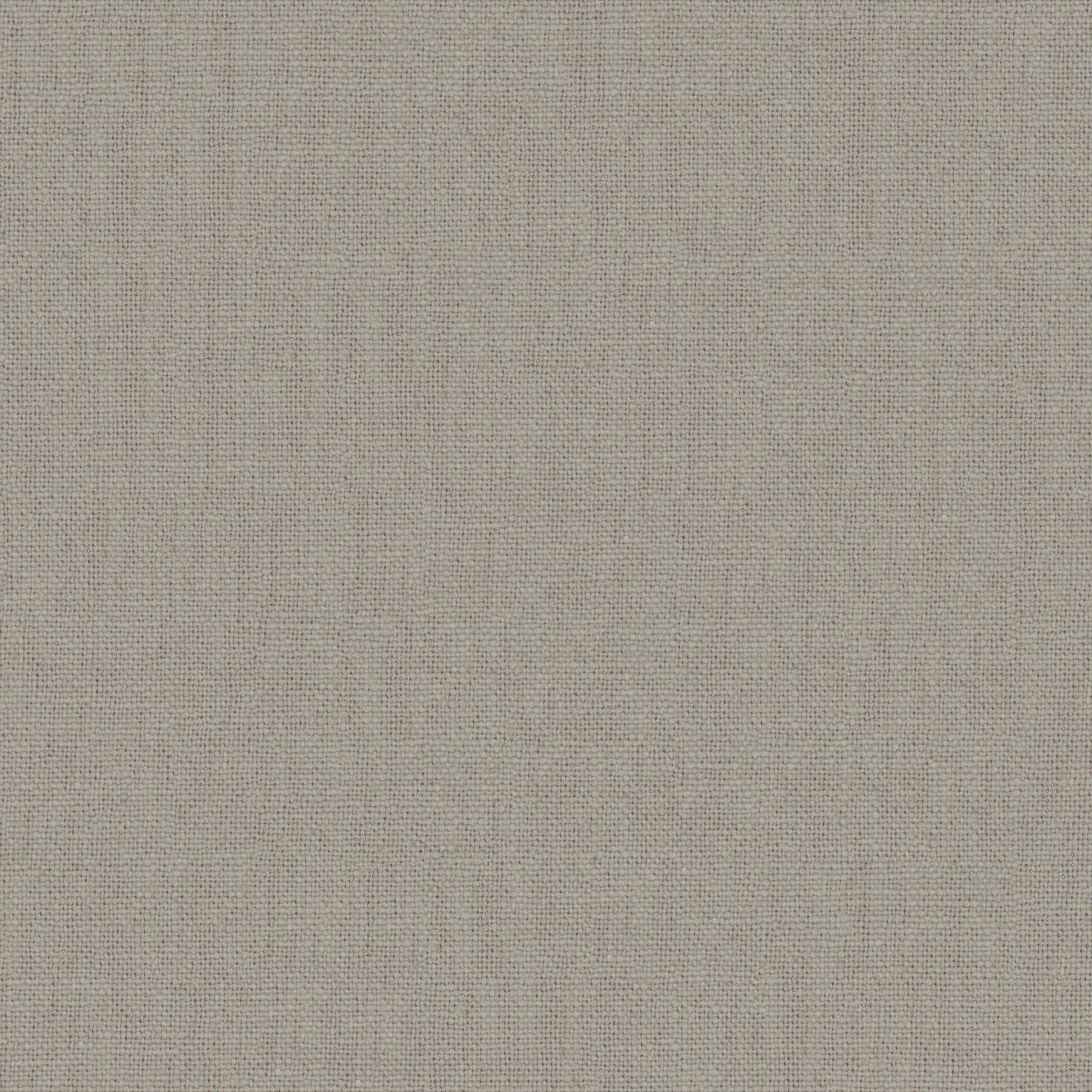 Paloma 04 | Canva