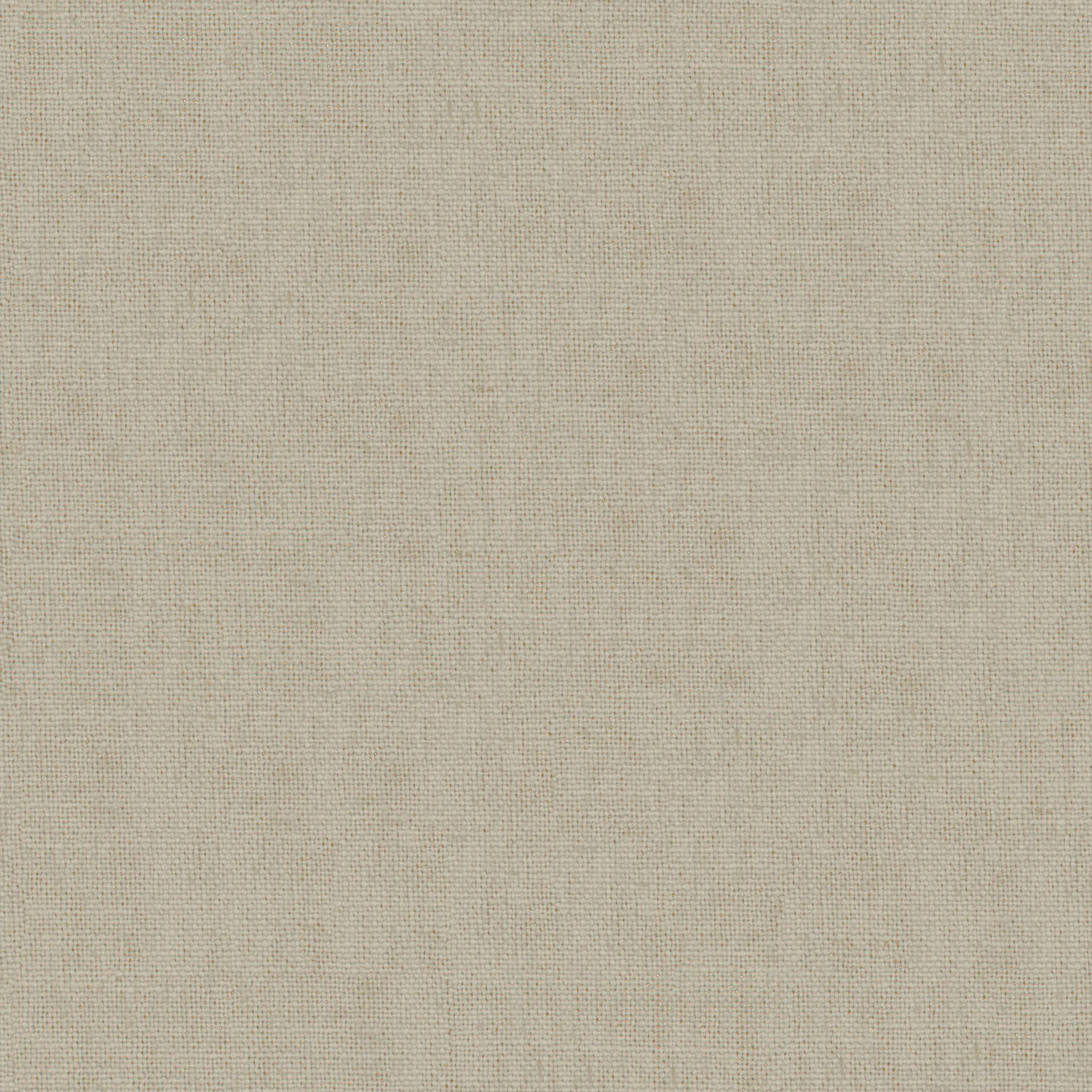 Angora 10 | Canva