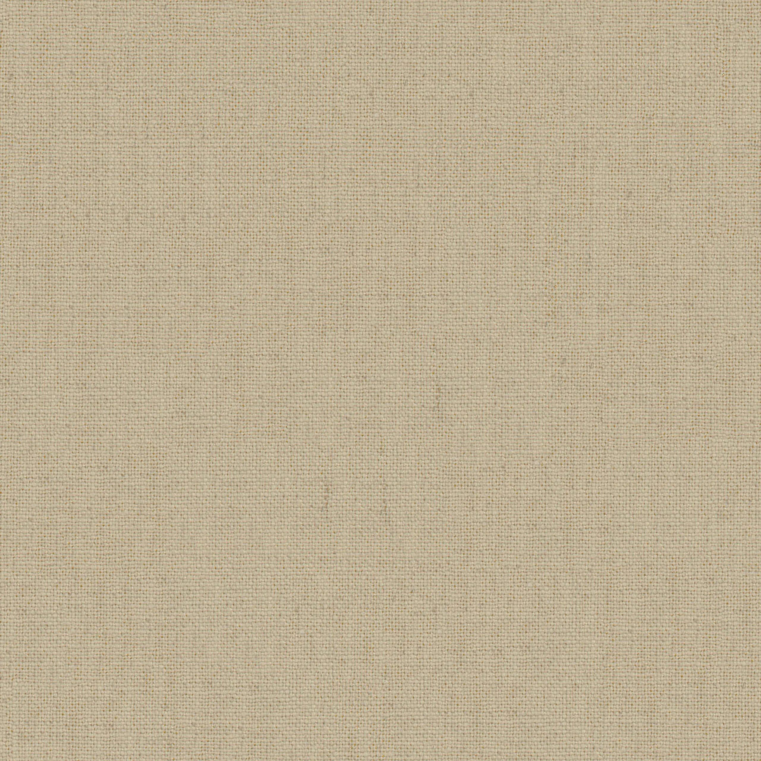 Flan 11 | Canva