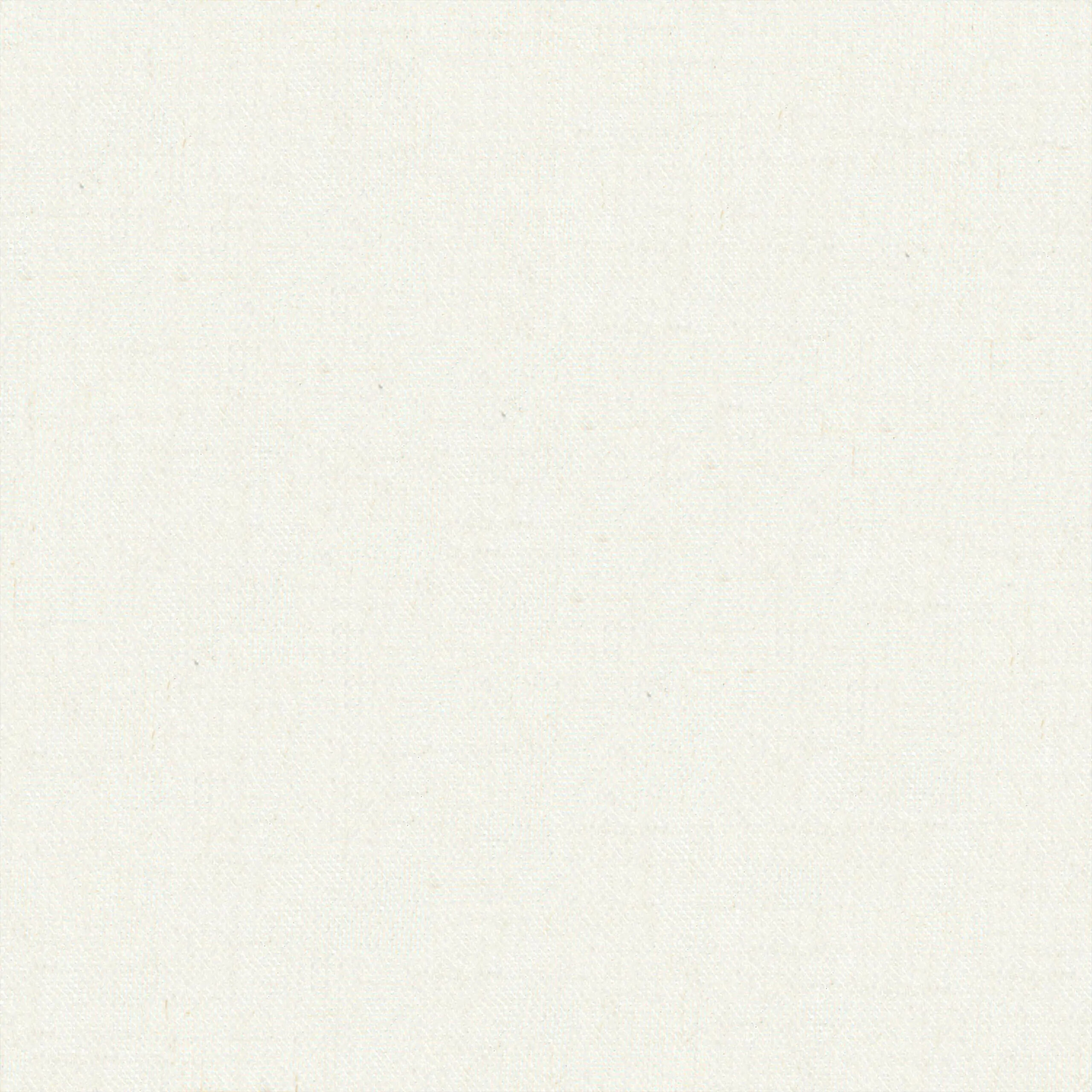 Snow 13 | Canva
