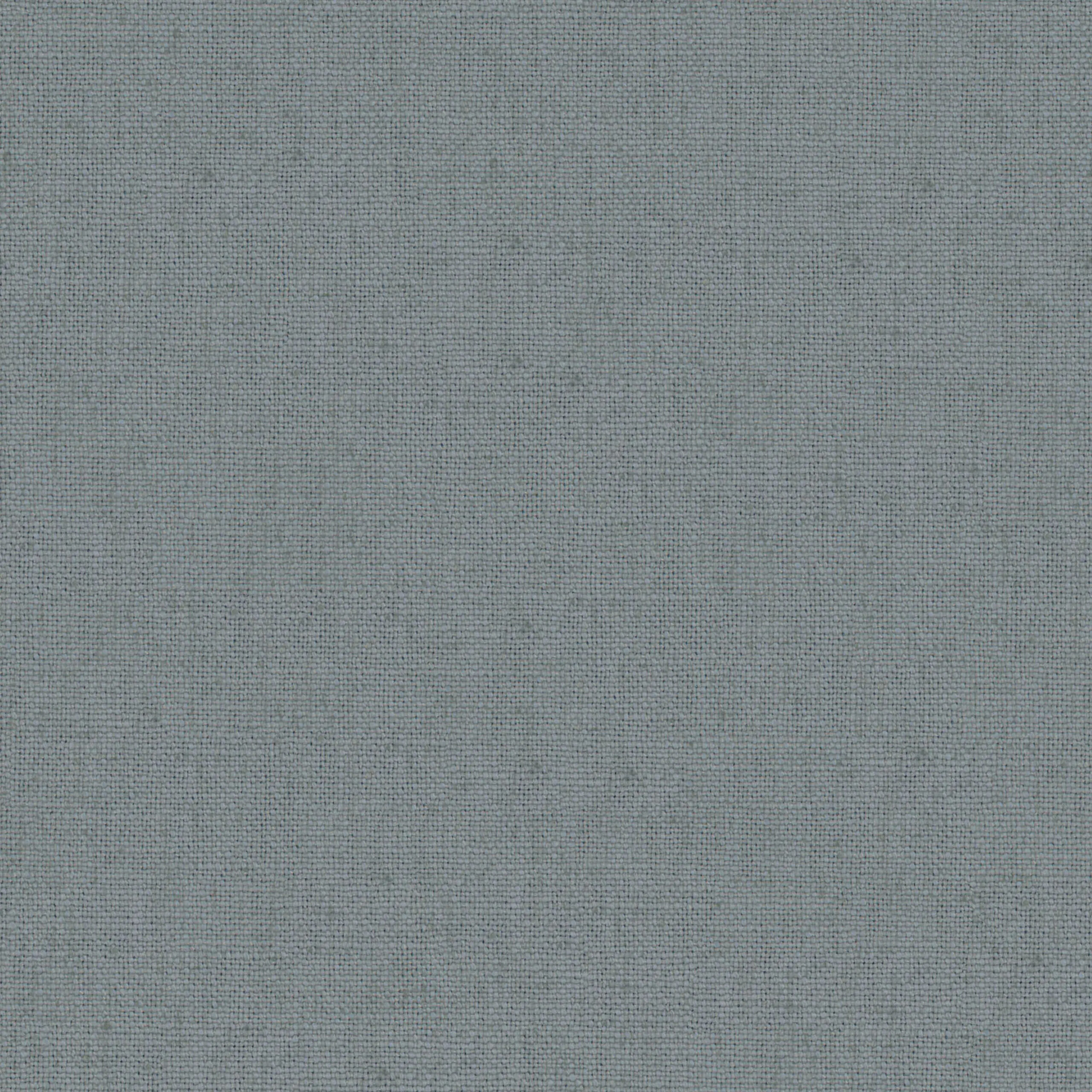 Shark 22 | Canva