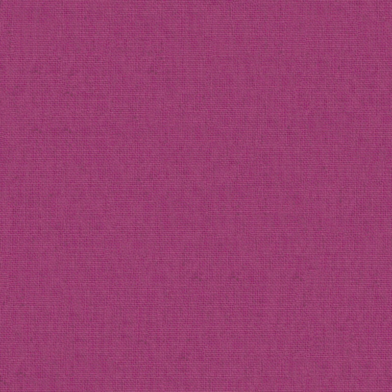 Fuchsia 26