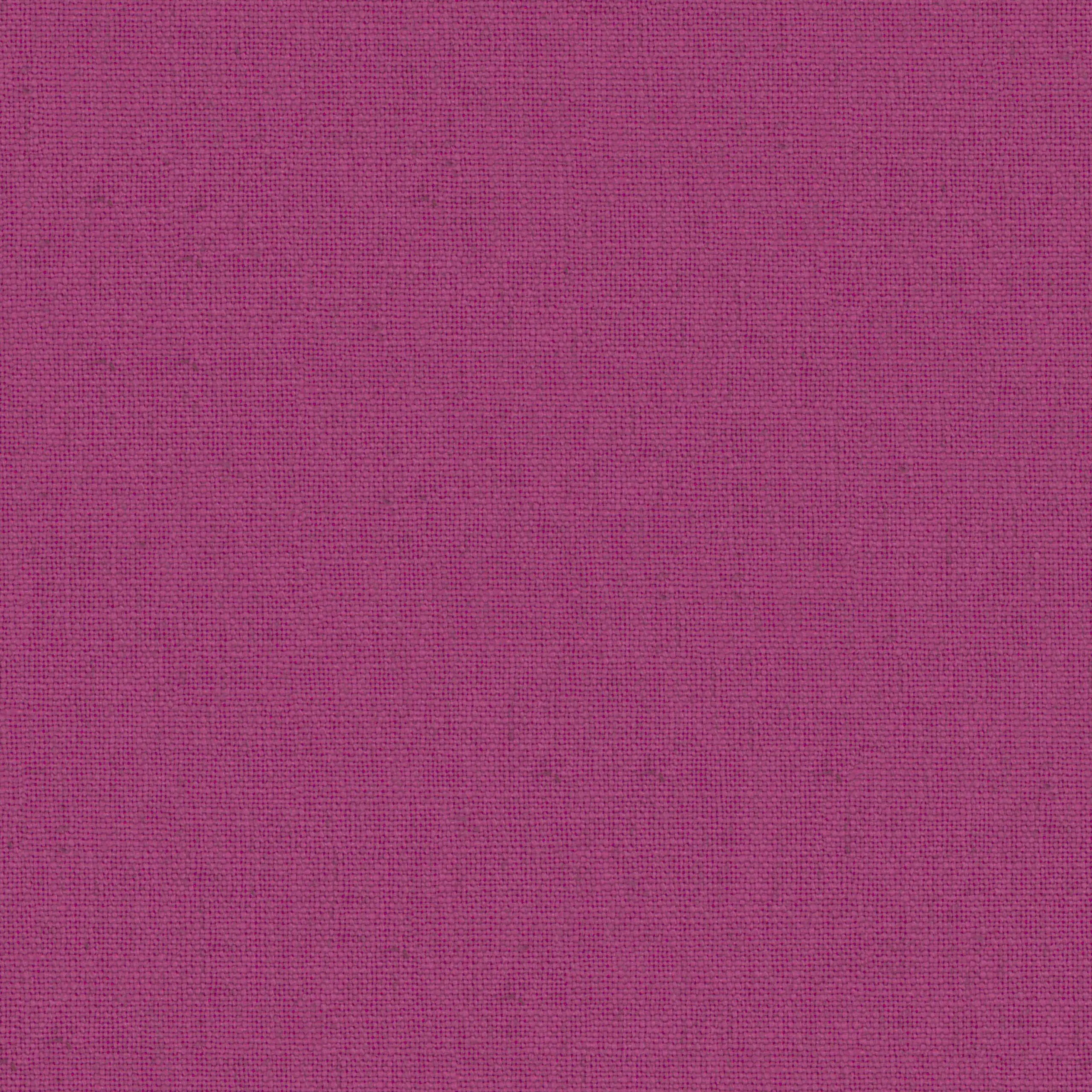 Fuchsia 26 | Canva