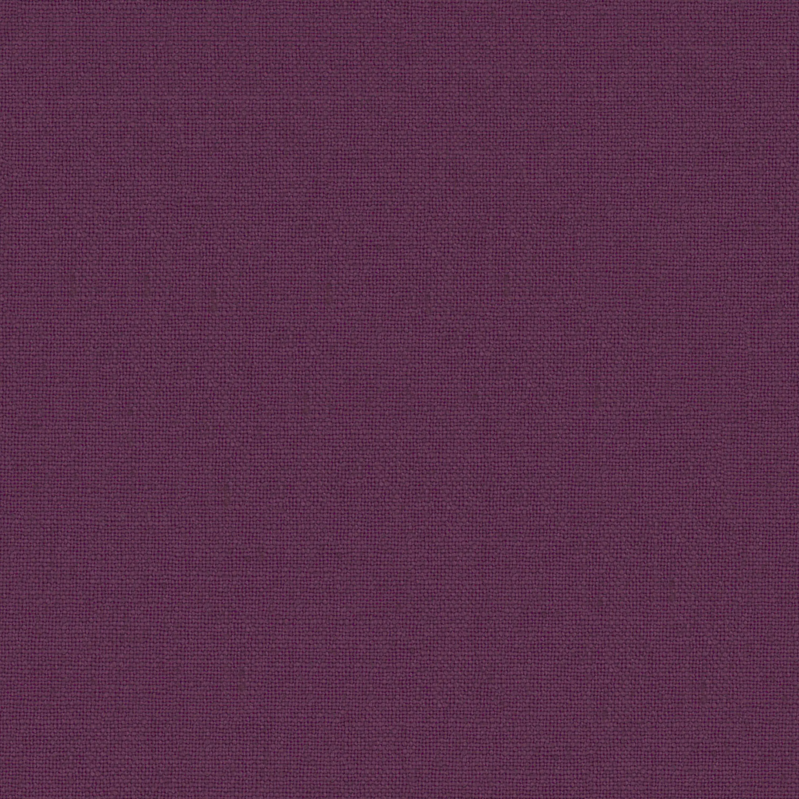 Plum 28 | Canva