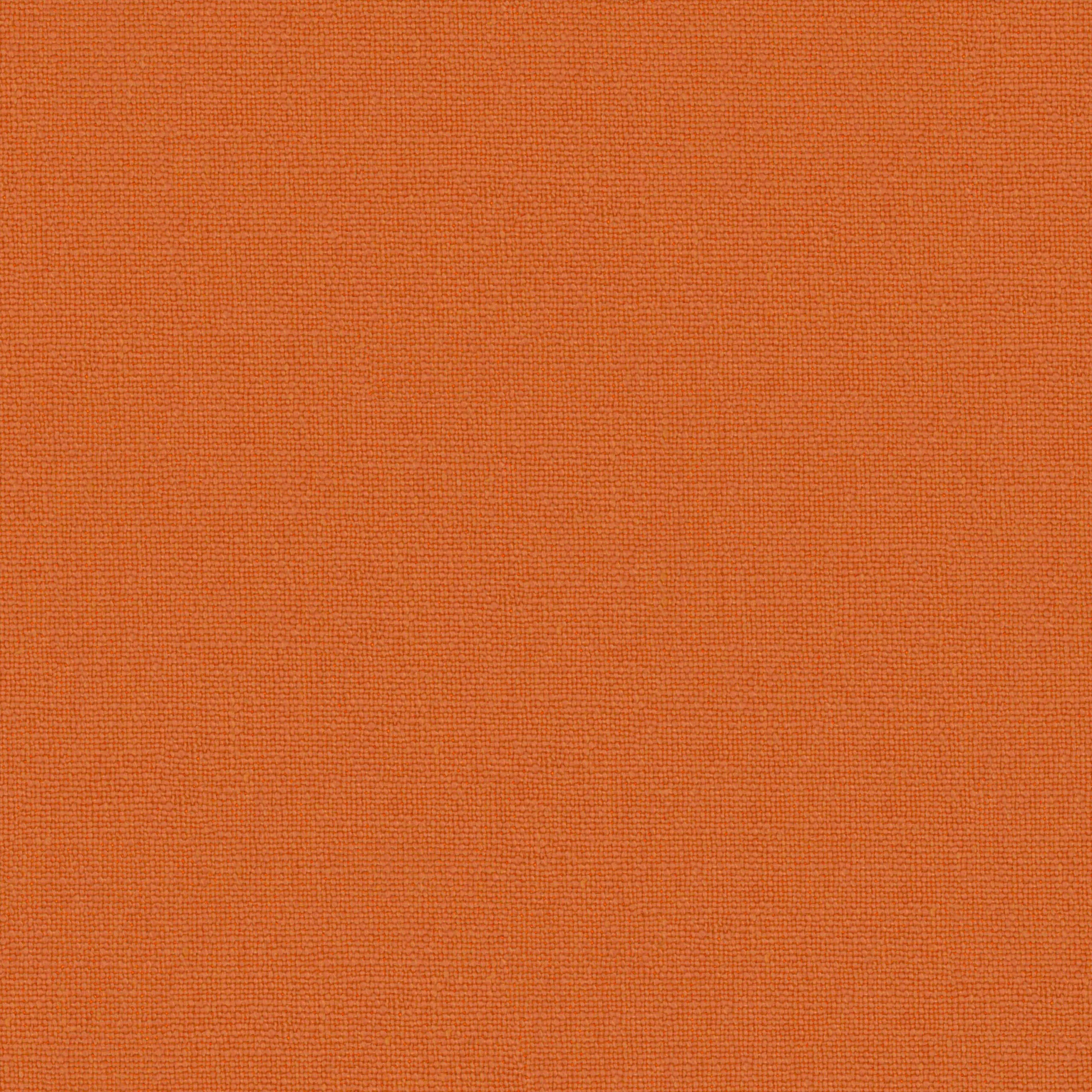 Koi 30 | Canva