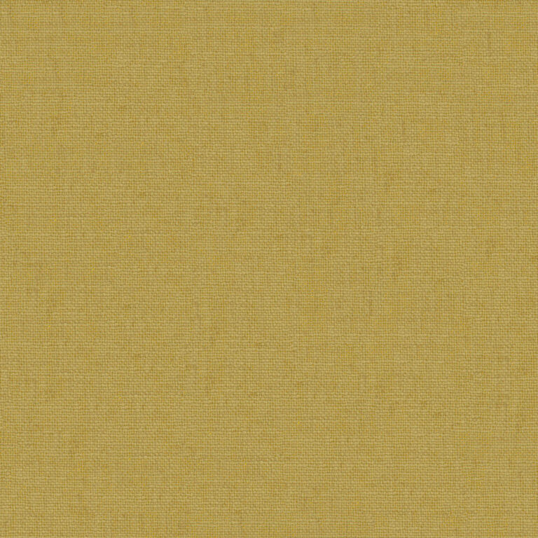 Mustard 31