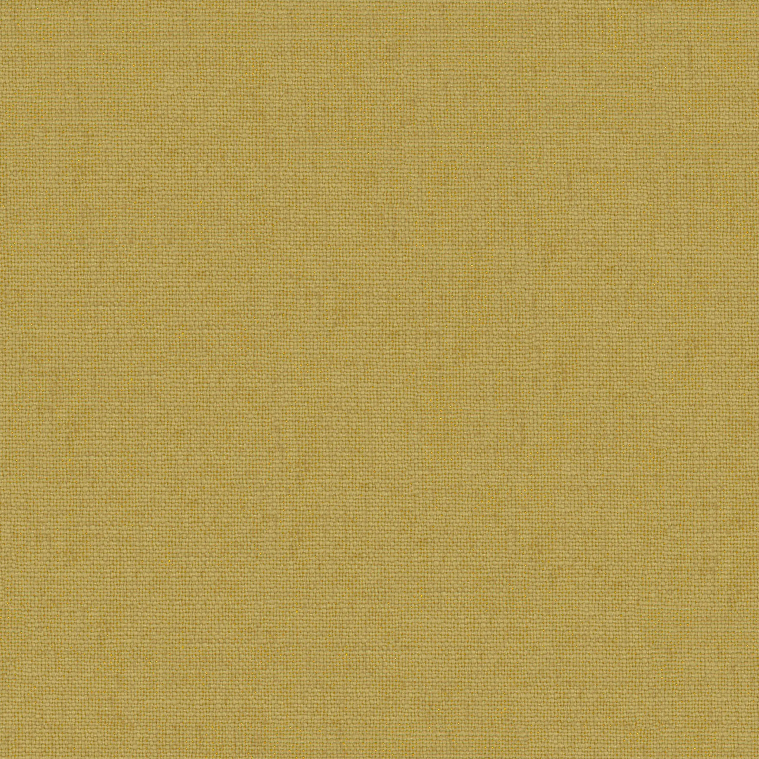 Mustard 31 | Canva