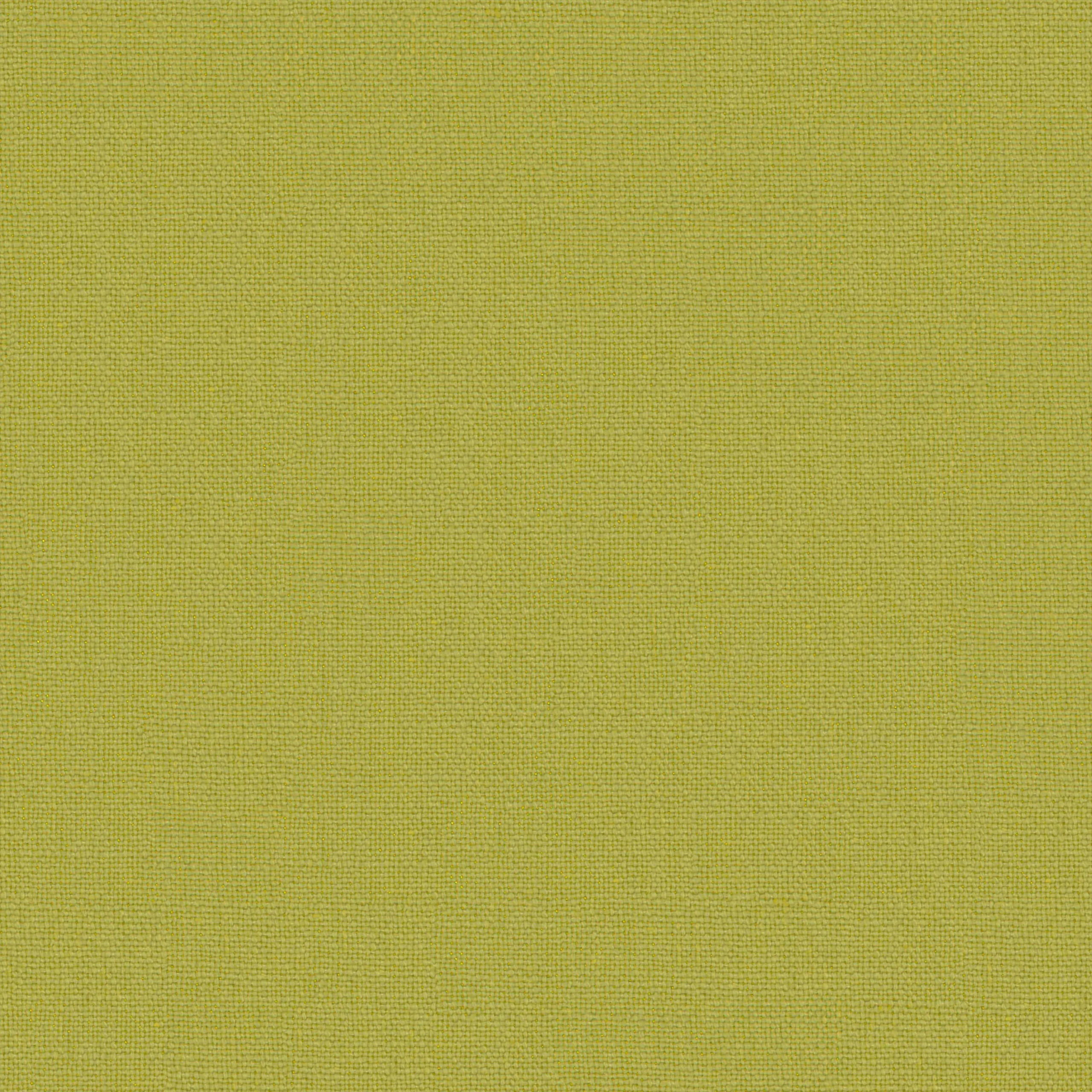 Pistachio 32 | Canva