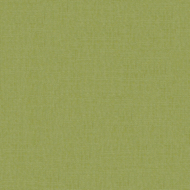 Fern 33