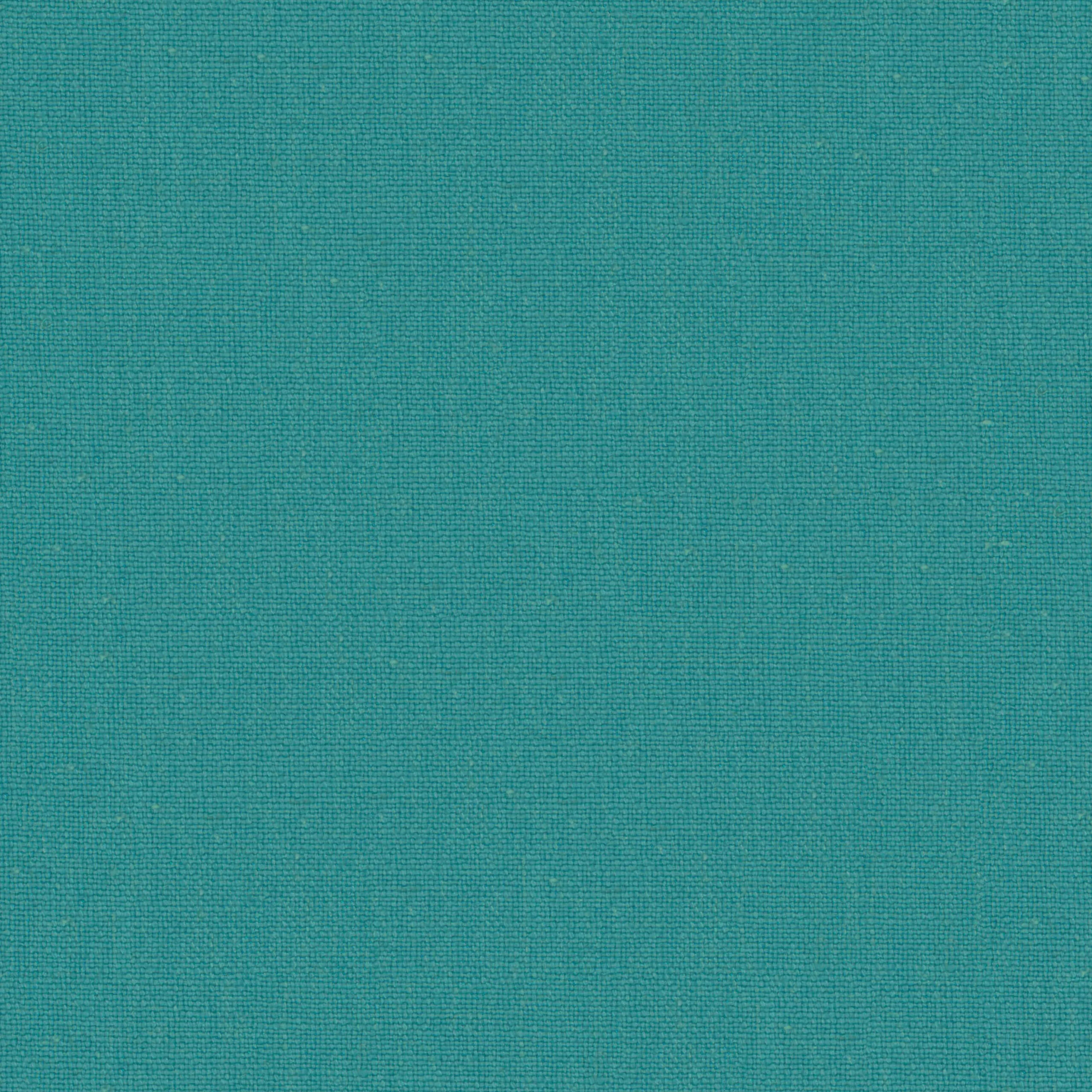 Peacock 35 | Canva