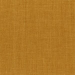 Amber 06 | Capri