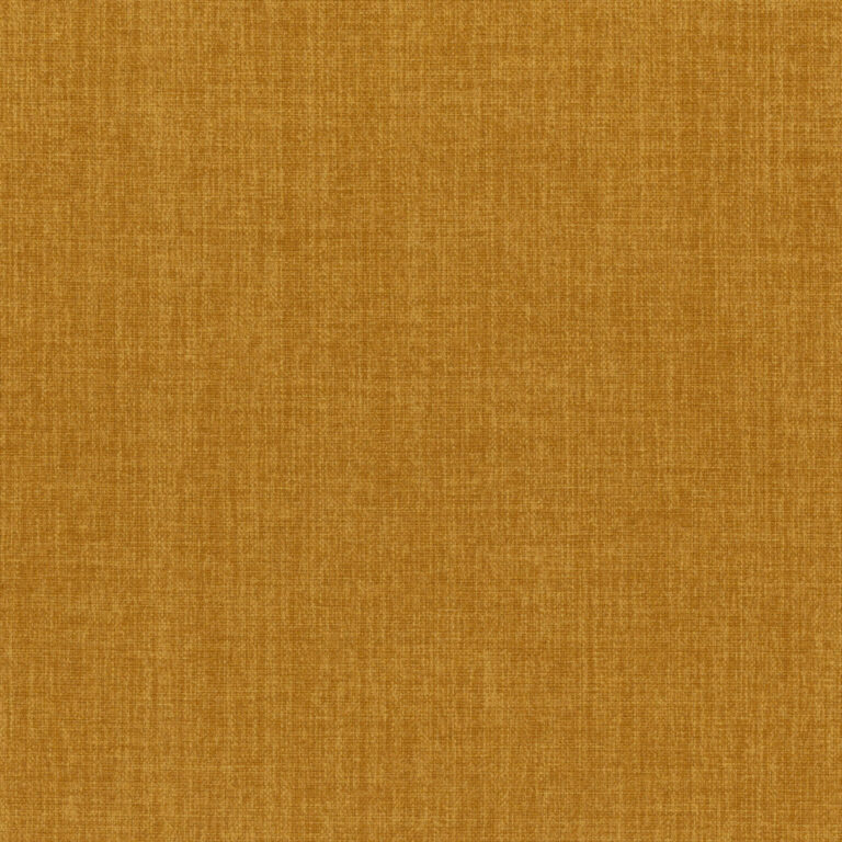 Amber 06